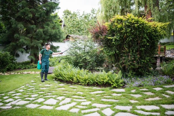 Trusted North Randall, OH Tree Services Experts
