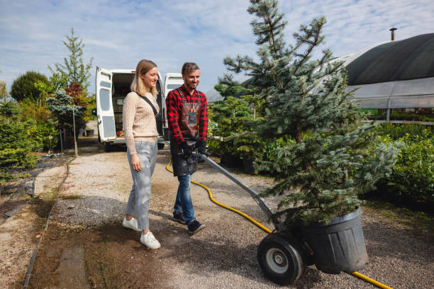 Best Tree Cabling and Bracing  in North Randall, OH