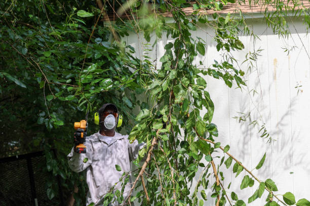 Best Pest Control for Lawns  in North Randall, OH